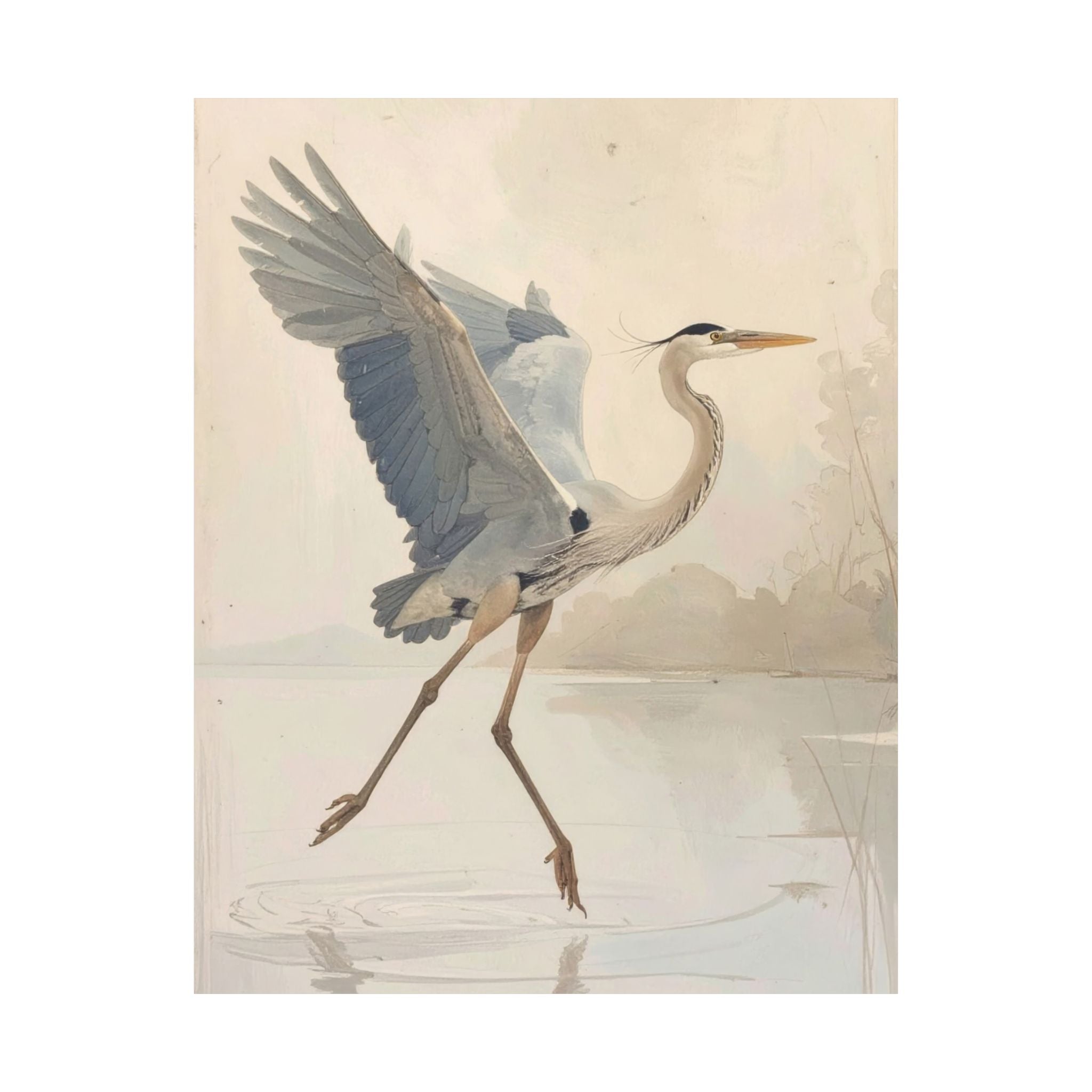 Great blue heron in motion with wings raised, soft neutral watercolor tones, minimalist wetlands scene, elegant coastal bird wall art.