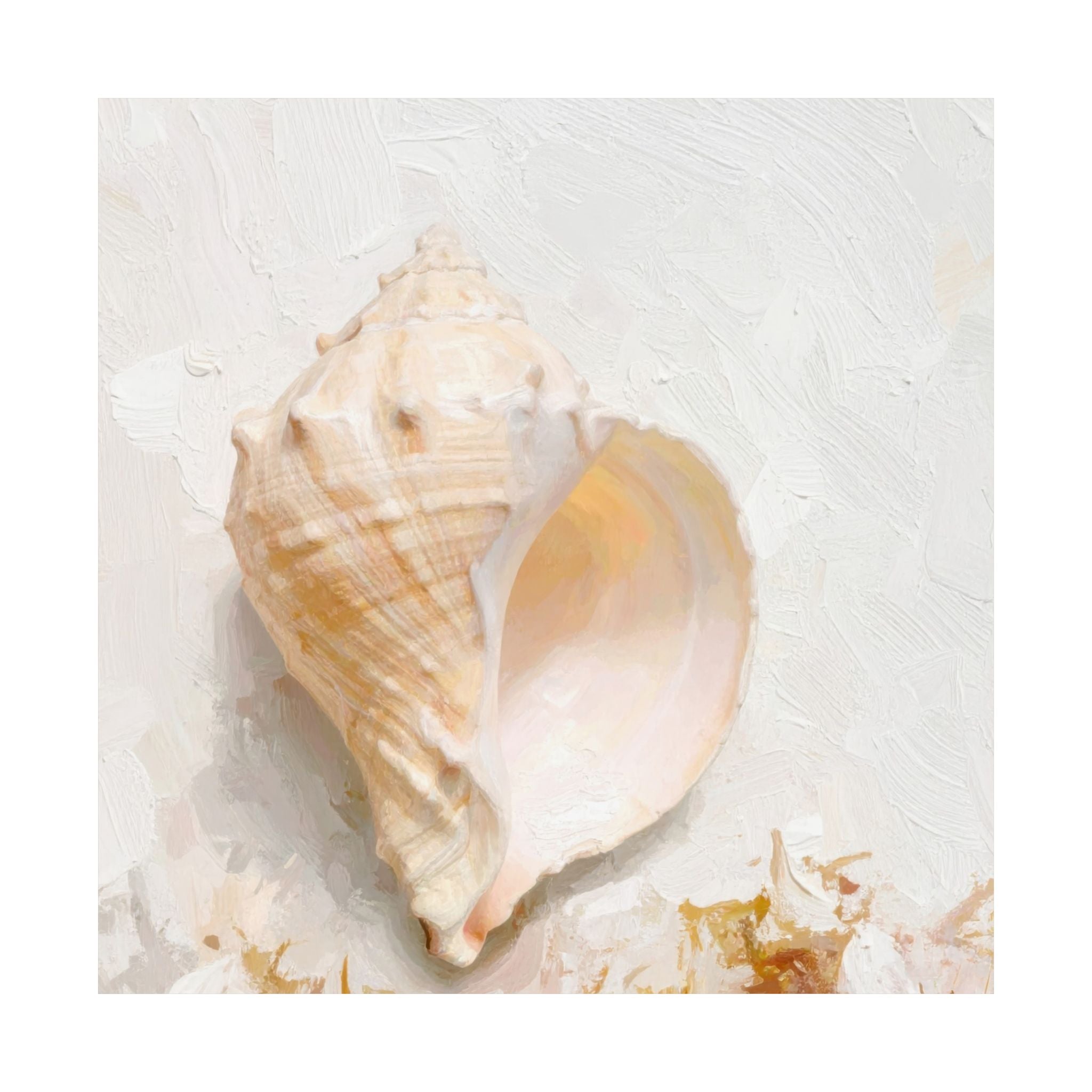 Close-up of a seashell on a textured white background