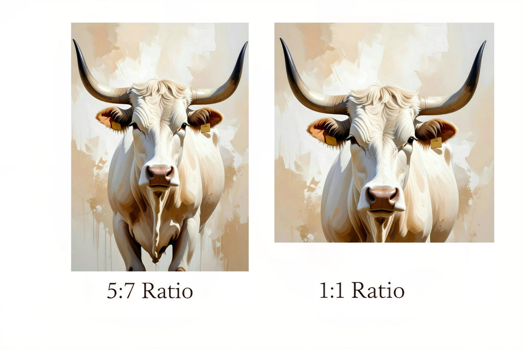 Two images of a bull with text indicating 5:7 and 1:1 aspect ratios.