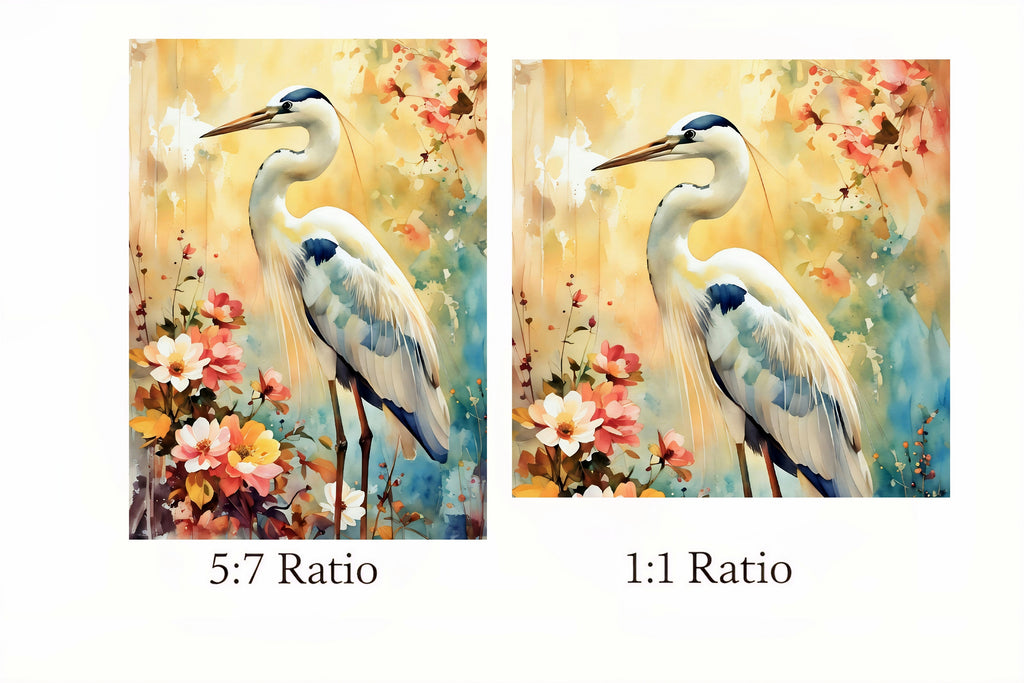 Two paintings of a crane with floral background, one labeled 5:7 ratio and the other 1:1 ratio.
