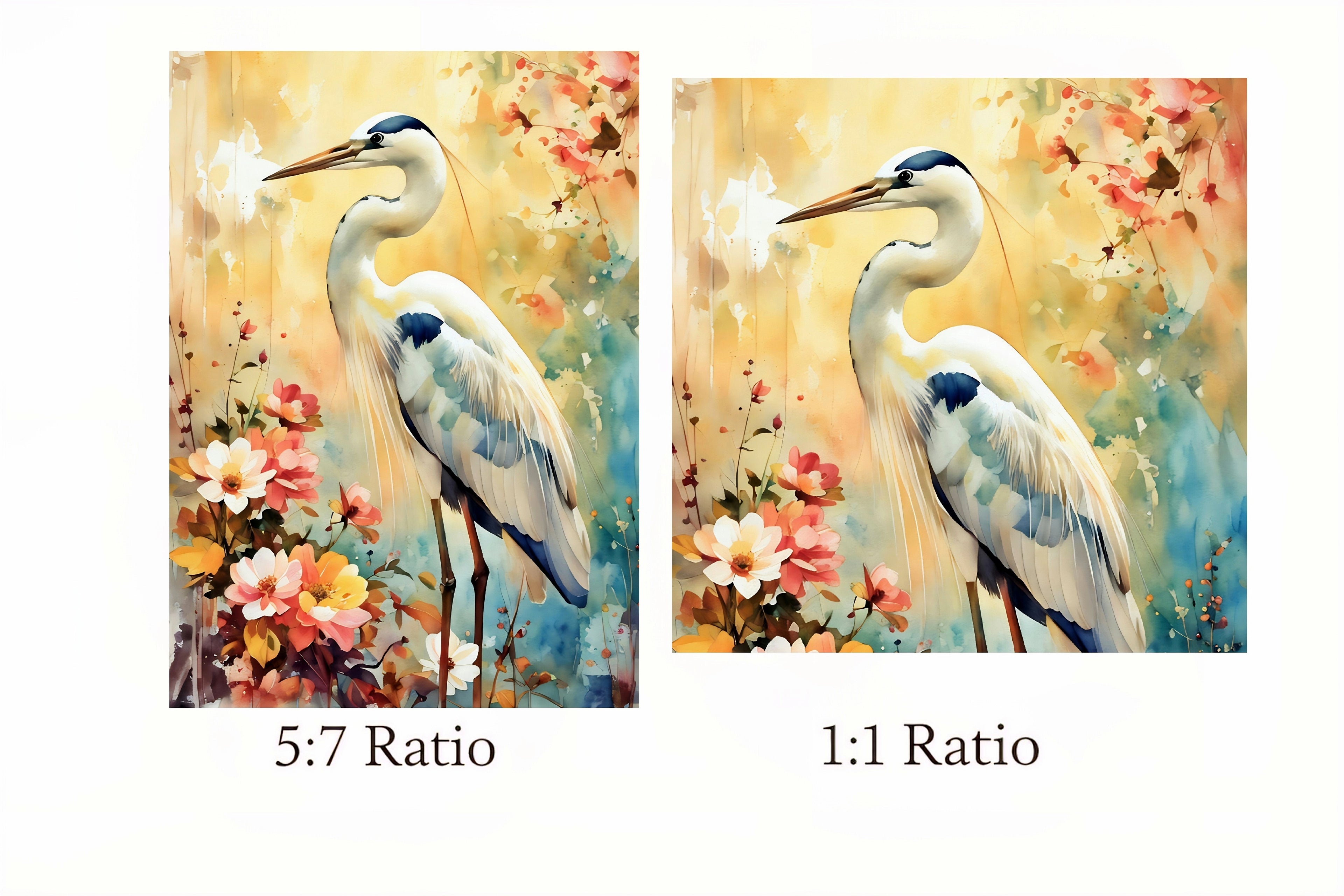 Two paintings of a crane with floral background, one labeled 5:7 ratio and the other 1:1 ratio.