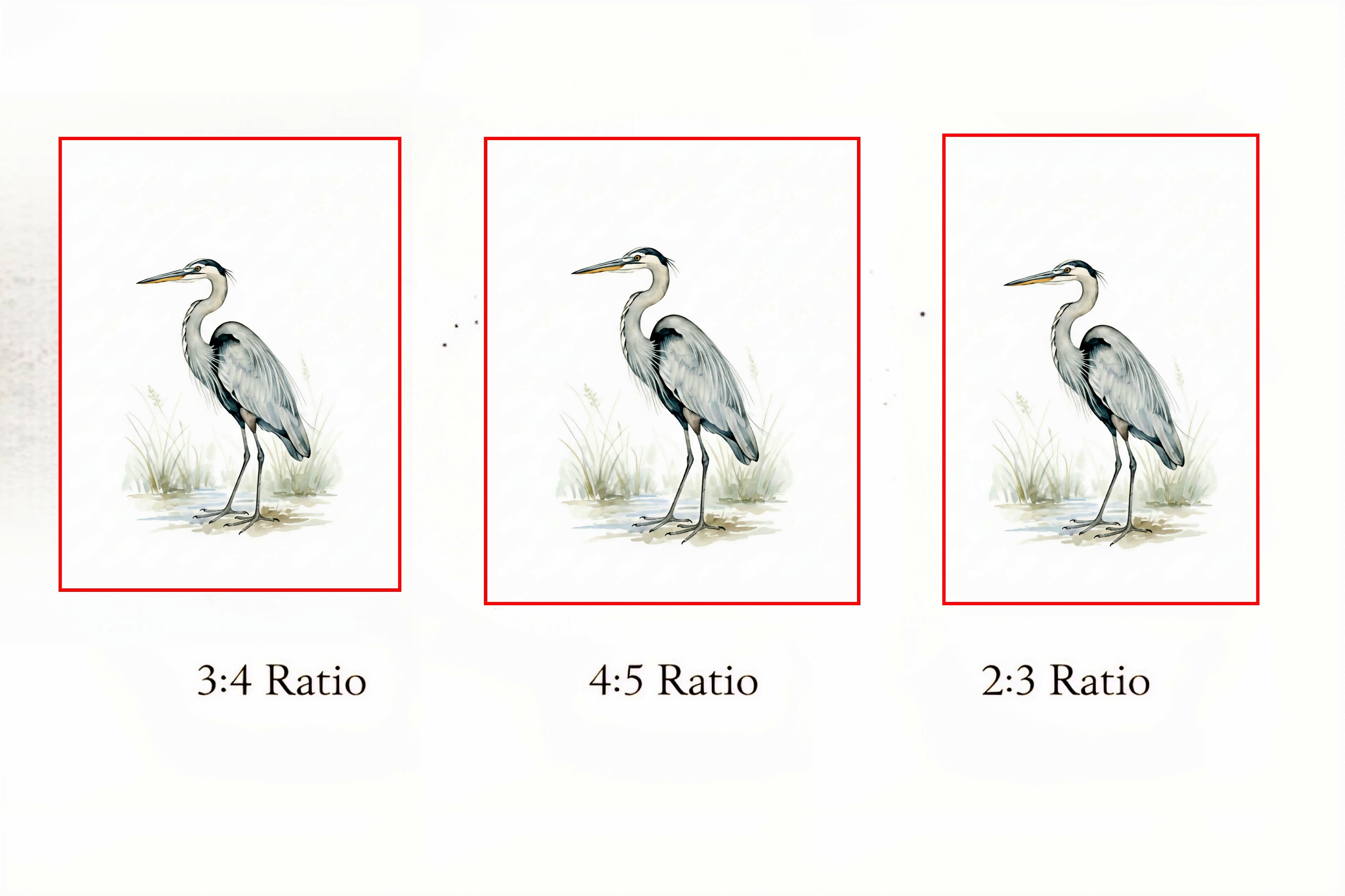 Three illustrations of a digital download  heron with different aspect ratios on a white background
