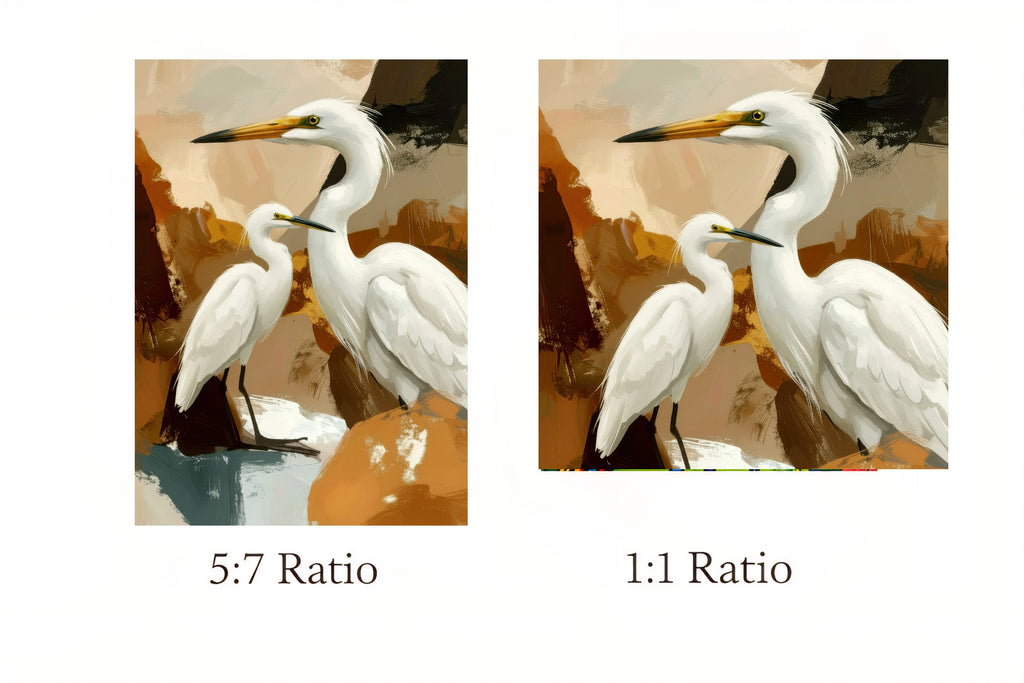 Two side-by-side images of white birds with text indicating 5:7 and 1:1 aspect ratios.