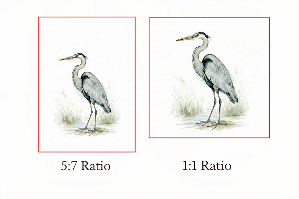 Two illustrations of a heron with text indicating 5:7 and 1:1 ratio.