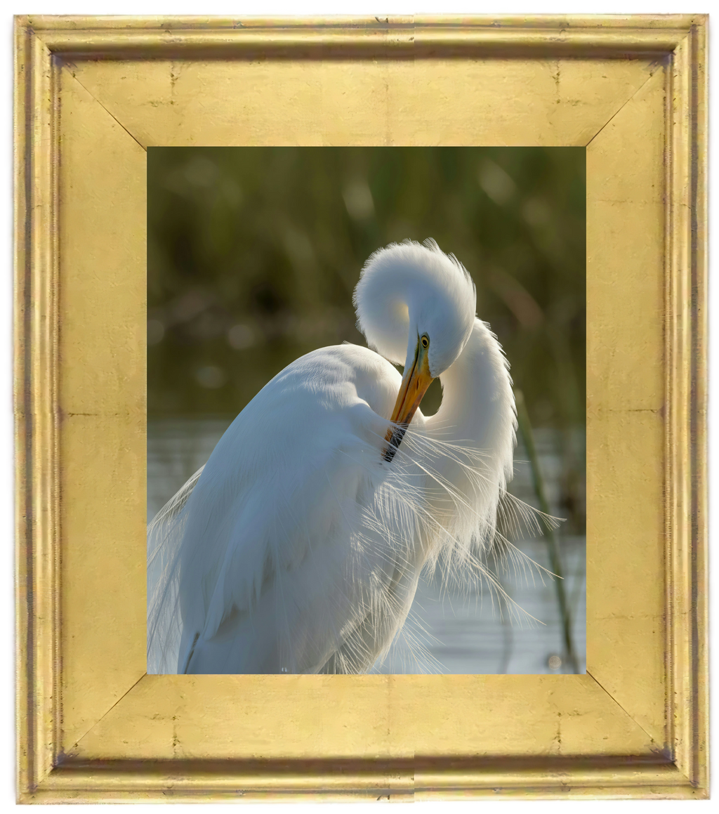 White Egret Wall Art Digital Download – Coastal Marsh Bird Printable Art – Neutral Coastal Decor – Instant Download