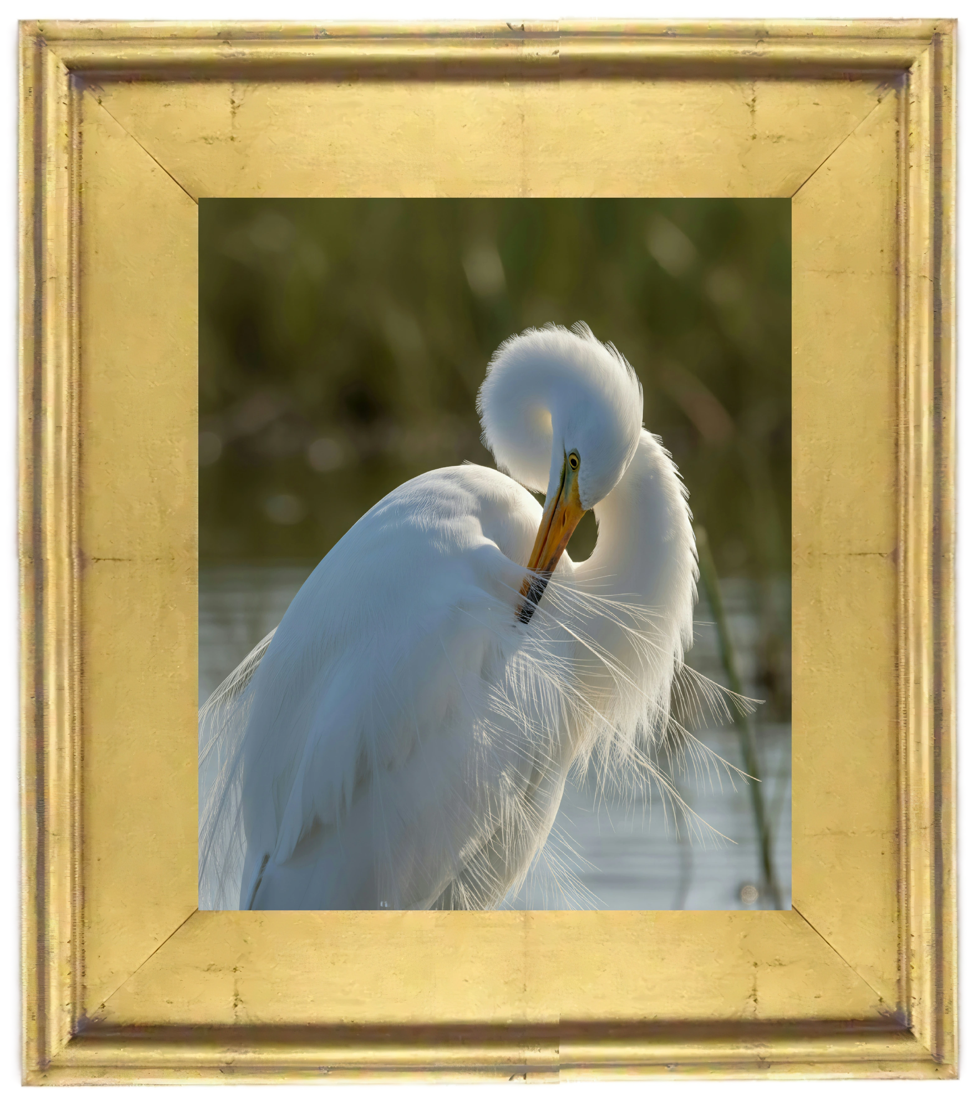 White Egret Wall Art Digital Download – Coastal Marsh Bird Printable Art – Neutral Coastal Decor – Instant Download