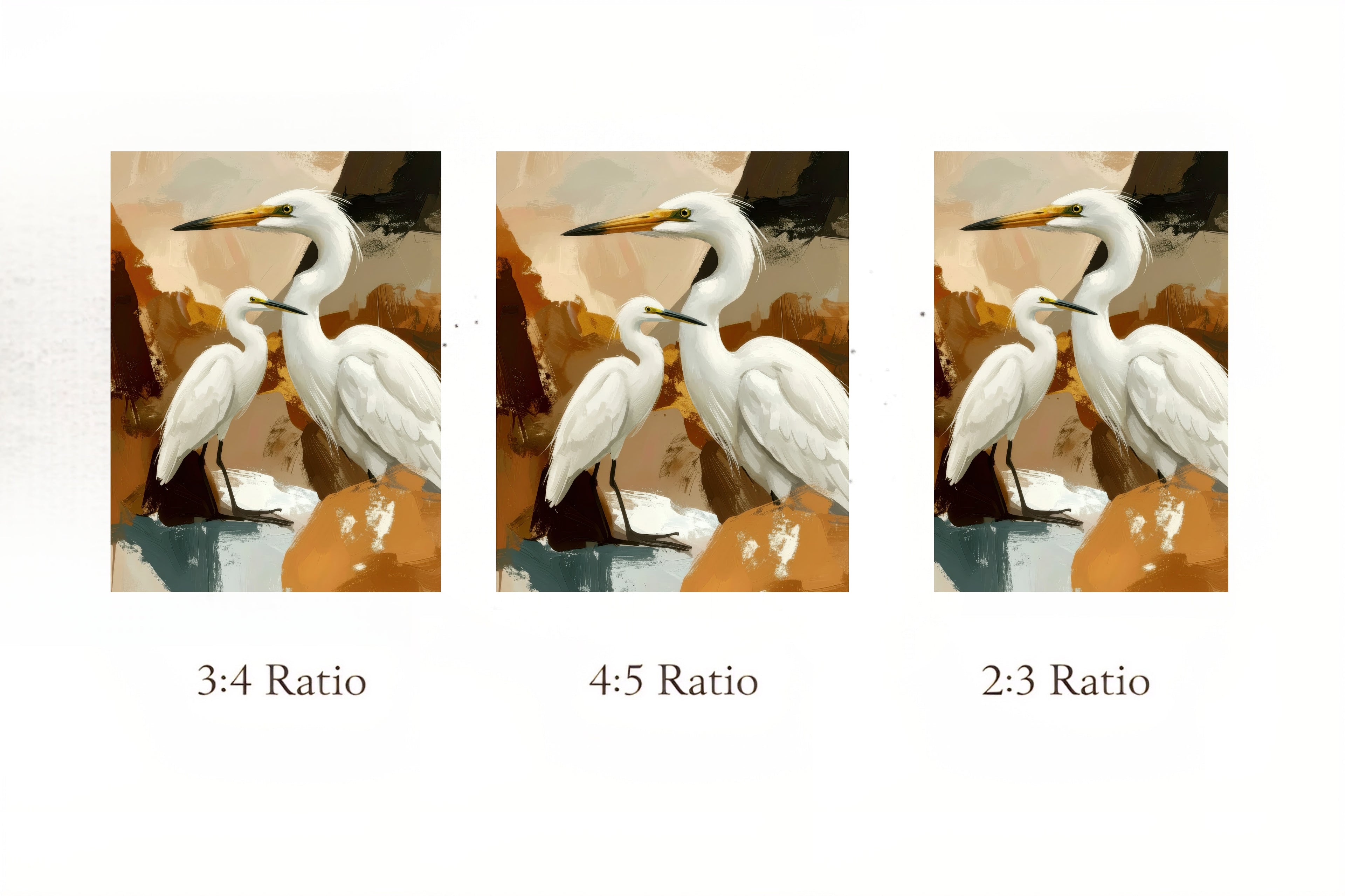 Three different aspect ratio comparisons of a digital files of earth toned egrets