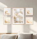 Neutral coastal shell gallery wall set in soft beige tones