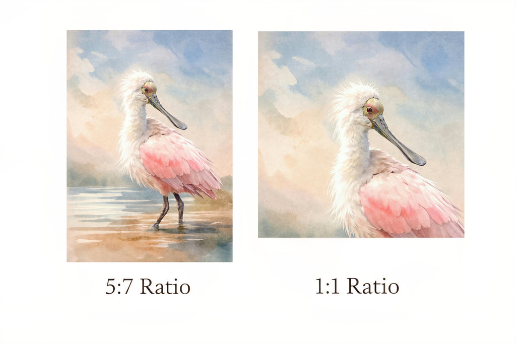 Two images of a pink spoonbill bird with text indicating 5:7 and 1:1 aspect ratios.