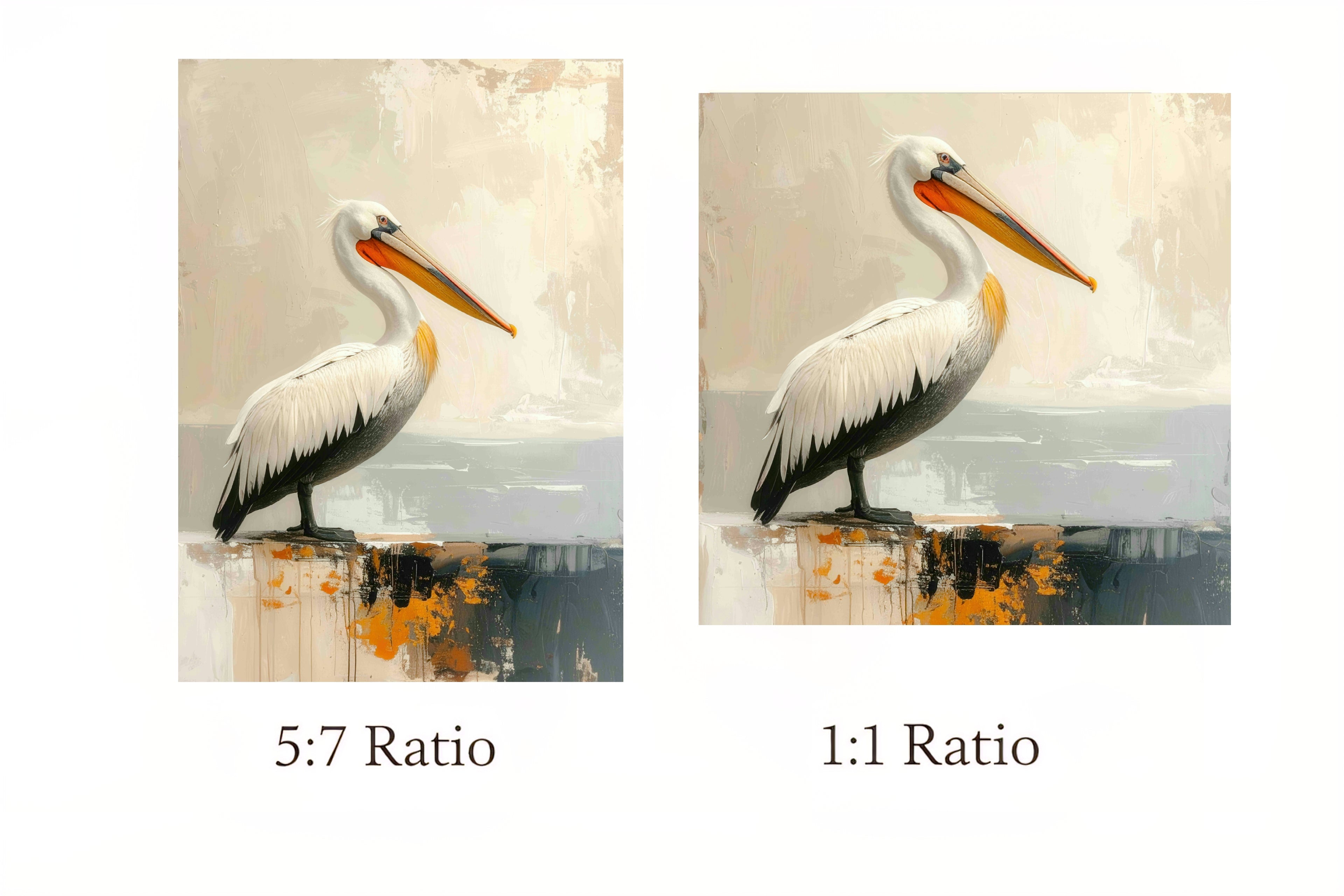 Two images of a pelican with text indicating 5:7 and 1:1 aspect ratios.