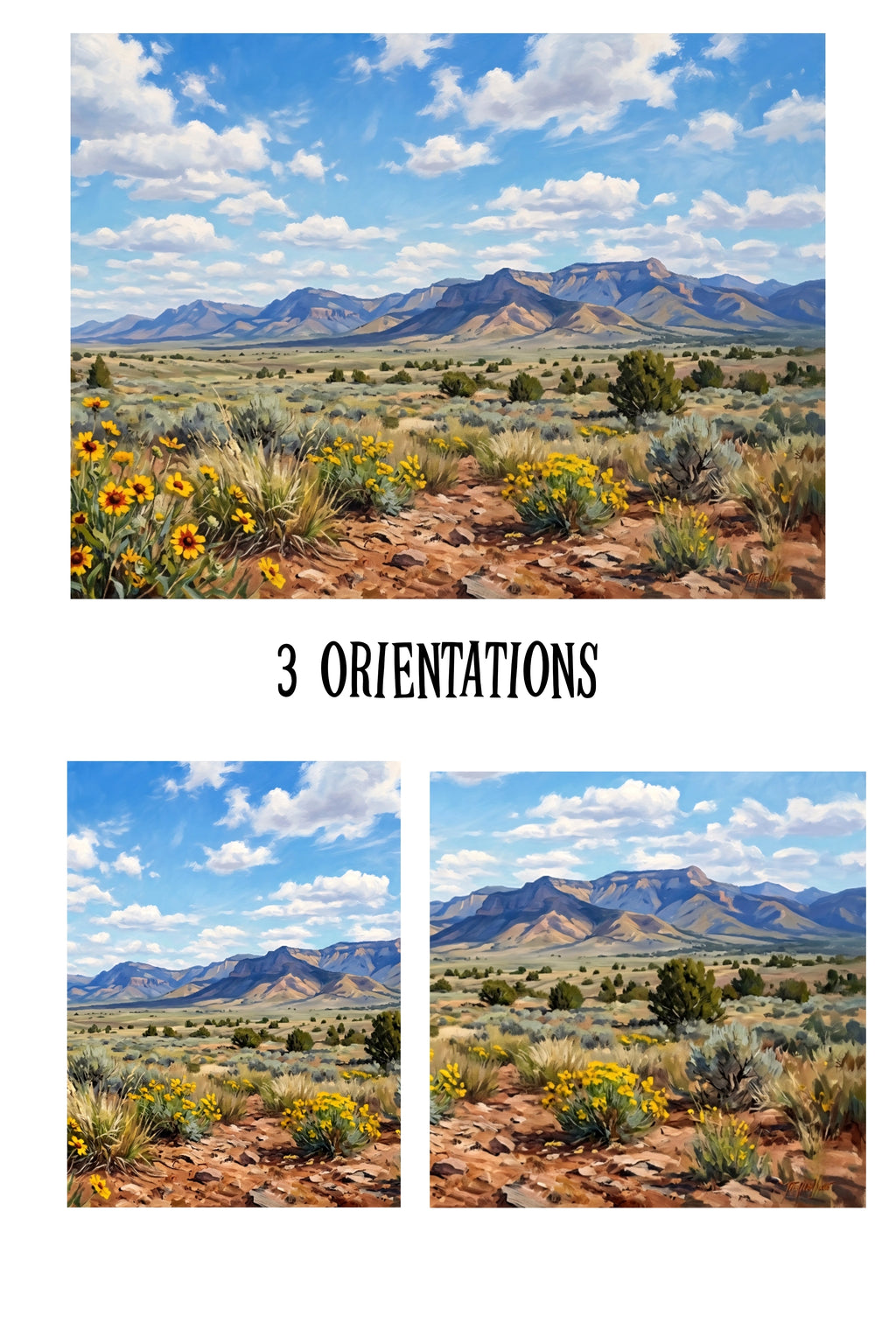 Desert landscape with mountains and flowers, featuring '3 Orientations' text.