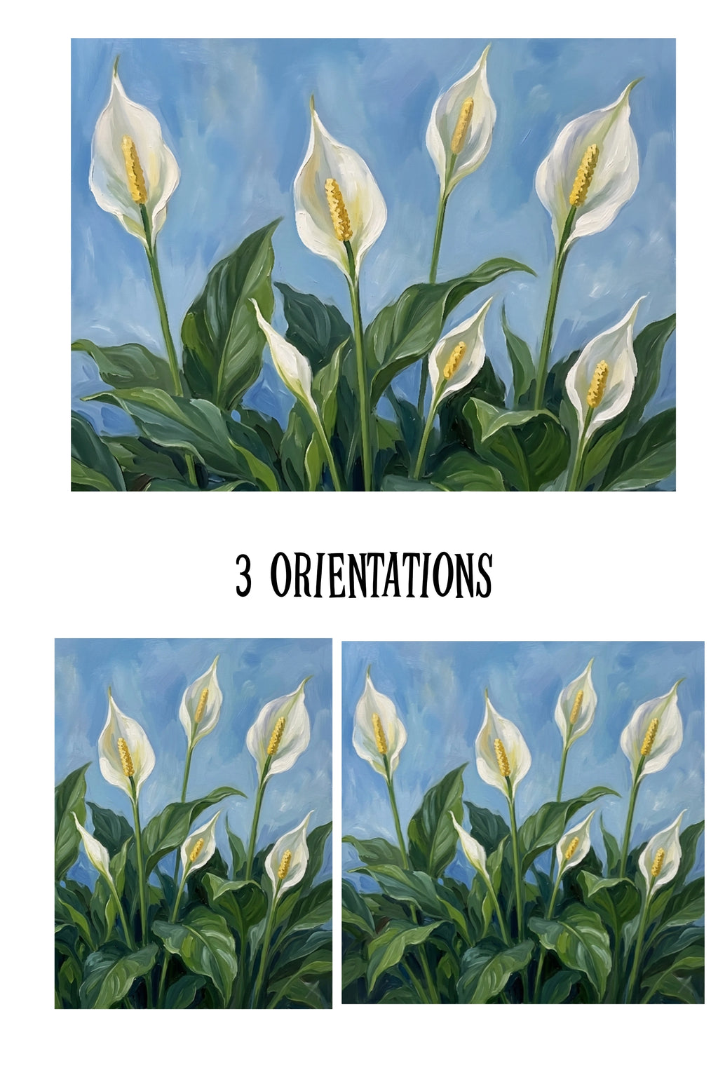 Peace lily wall art printable showing three orientations—horizontal, vertical, and square—with white blooms and lush green leaves on a soft blue background, botanical digital download