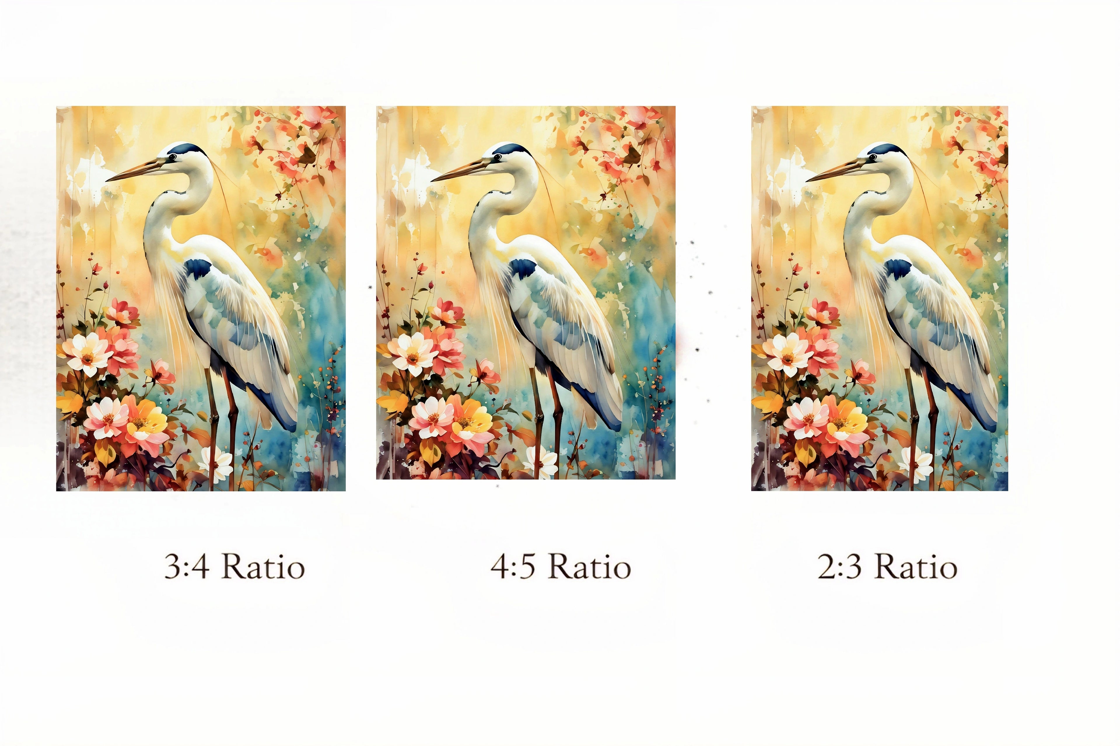 Three paintings of a heron with floral background, labeled 3:4, 4:5, and 2:3 ratios.