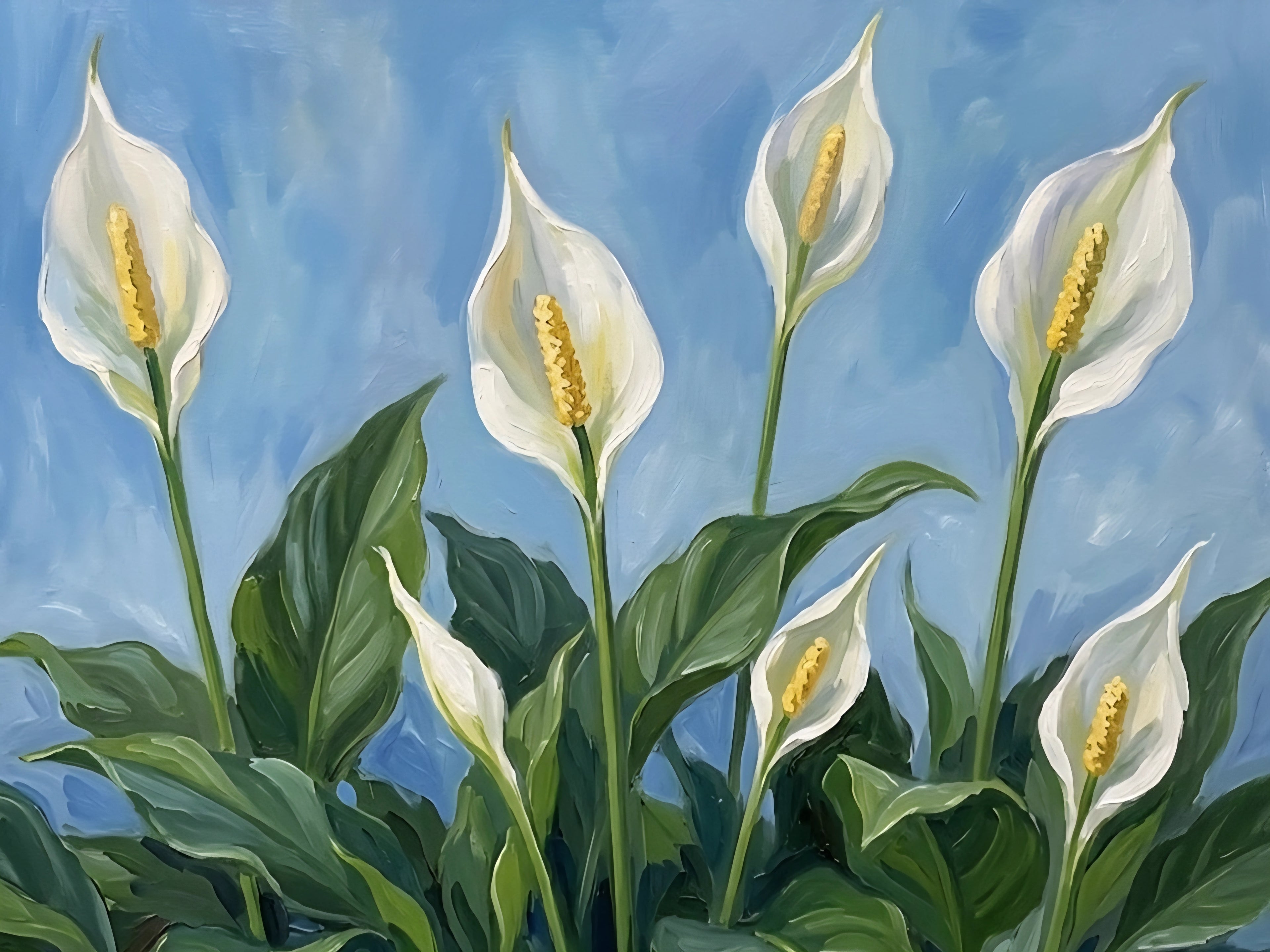 Horizontal peace lily wall art featuring white blooms and lush green leaves on a soft blue background, elegant botanical printable decor digital download