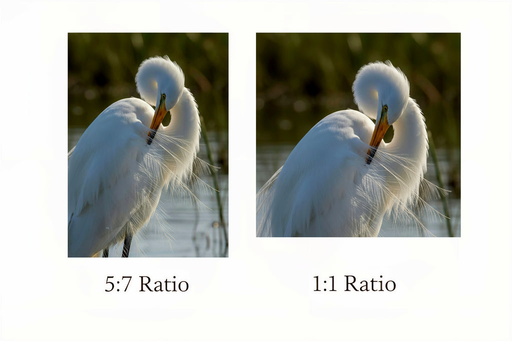 White Egret Wall Art Digital Download – Coastal Marsh Bird Printable Art – Neutral Coastal Decor – Instant Download