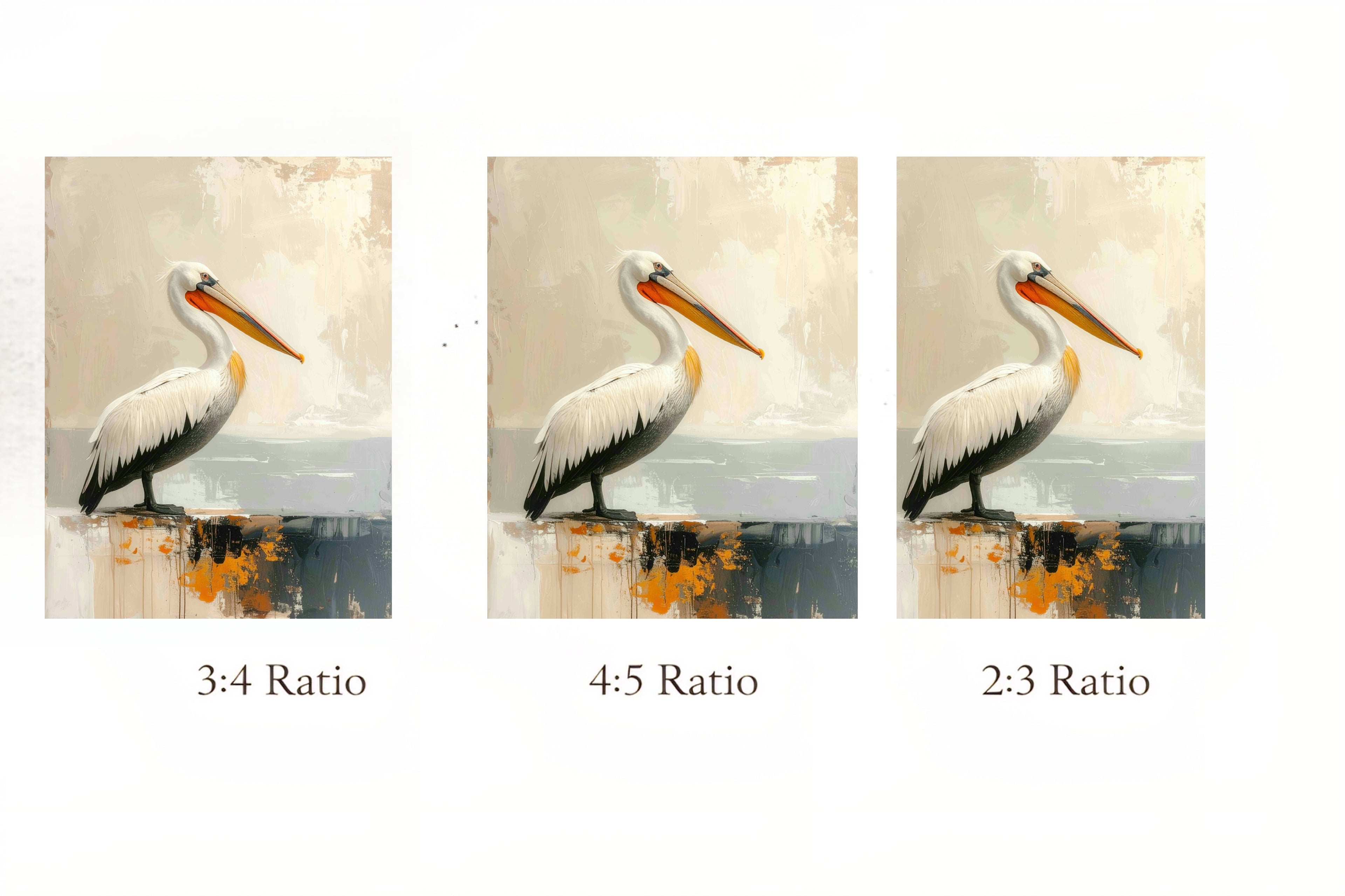 Three images of a pelican with different aspect ratios displayed side by side.